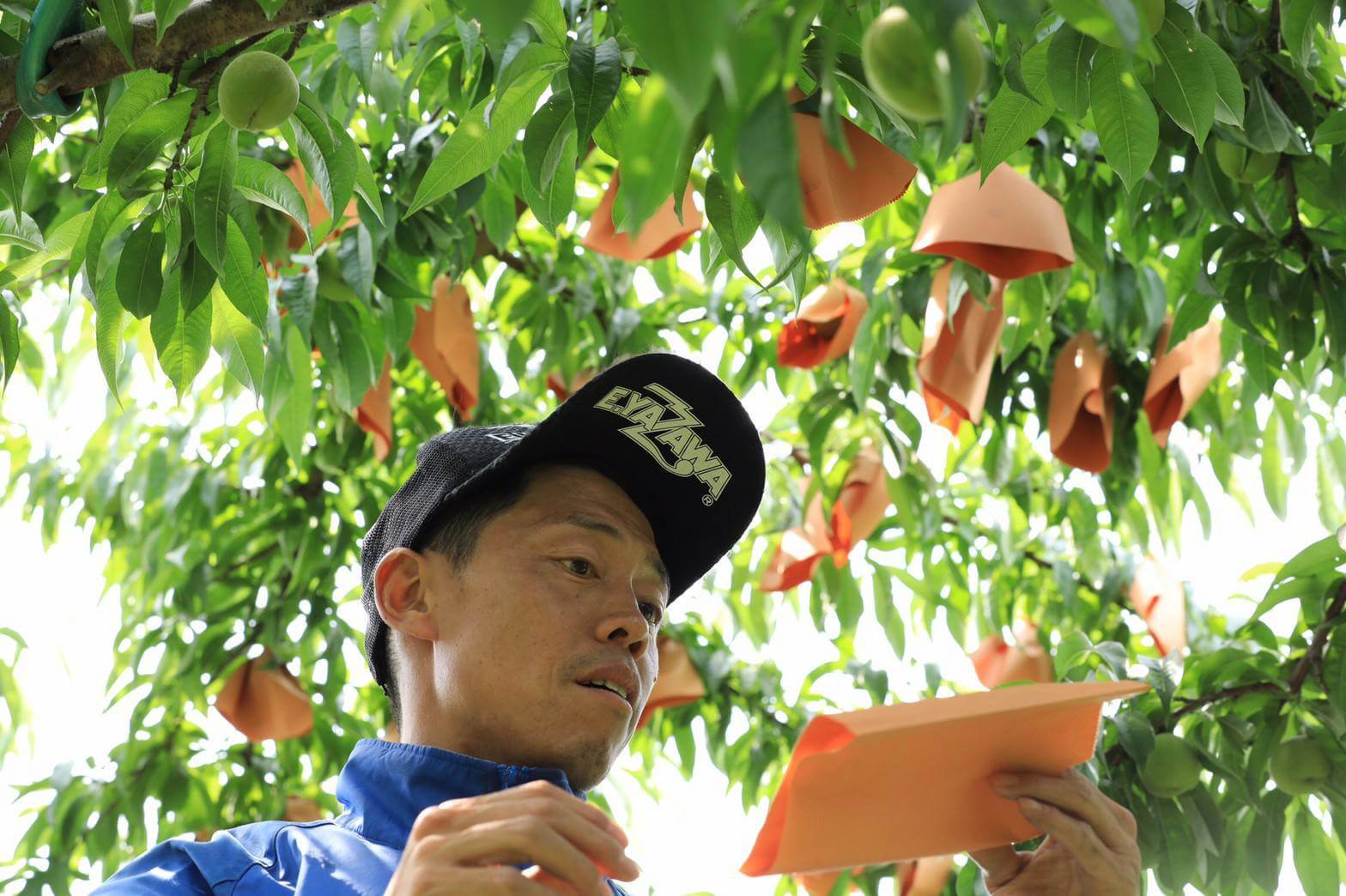 岡山 雅桃園 園長 加藤雅敏